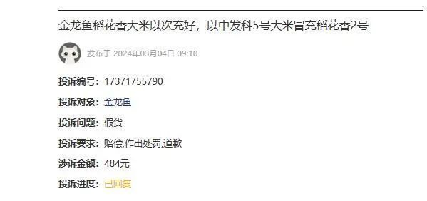 百度金龍魚事件