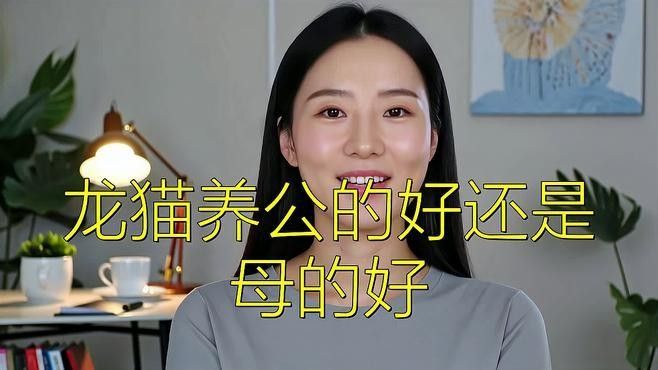 龍貓發(fā)情期咬人怎么辦？ 龍貓發(fā)情期咬人怎么辦？ 龍魚(yú)百科 第3張