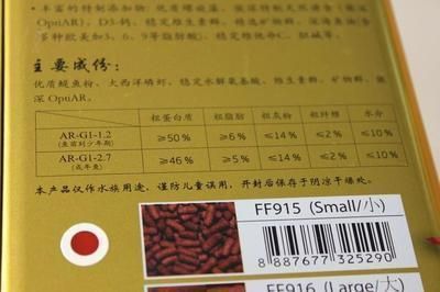 龍魚喂食時(shí)間多長(zhǎng)：探討龍魚喂食時(shí)間和日常飲食習(xí)慣，龍魚的喂食時(shí)間和日常飲食習(xí)慣