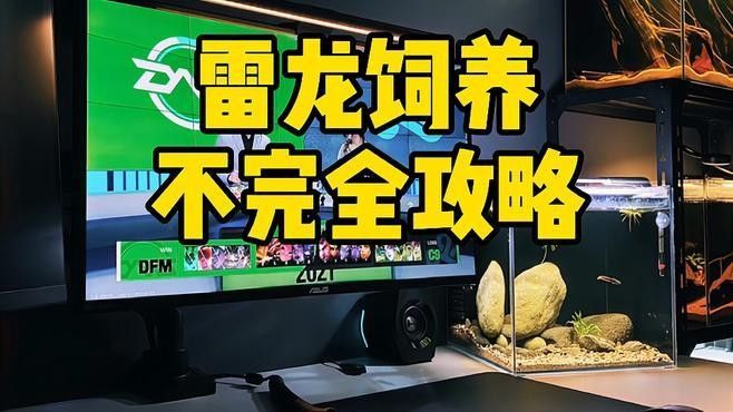 雷龍魚(yú)怎么馴養(yǎng)