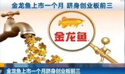 怎么固定金龍魚受傷泡沫（金龍魚受傷并且有泡沫附著，可以幫助金龍魚恢復健康）