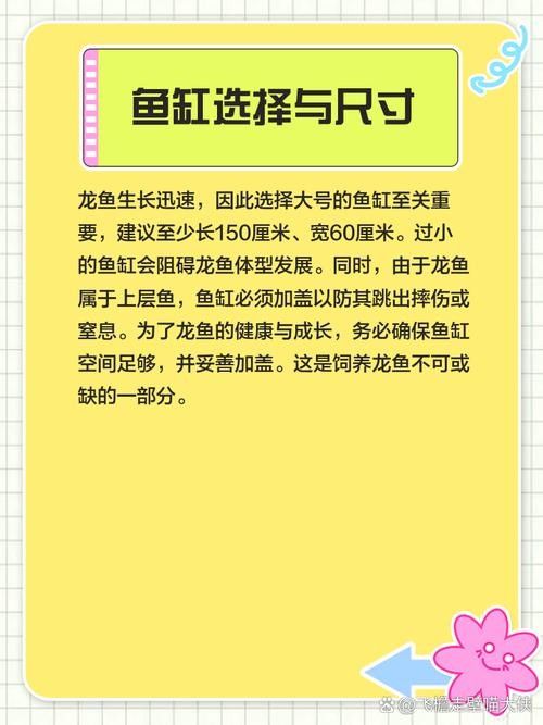 龍魚和斑馬魚混養(yǎng)可以嗎圖片 龍魚和斑馬魚混養(yǎng)可以嗎圖片 龍魚百科 第20張