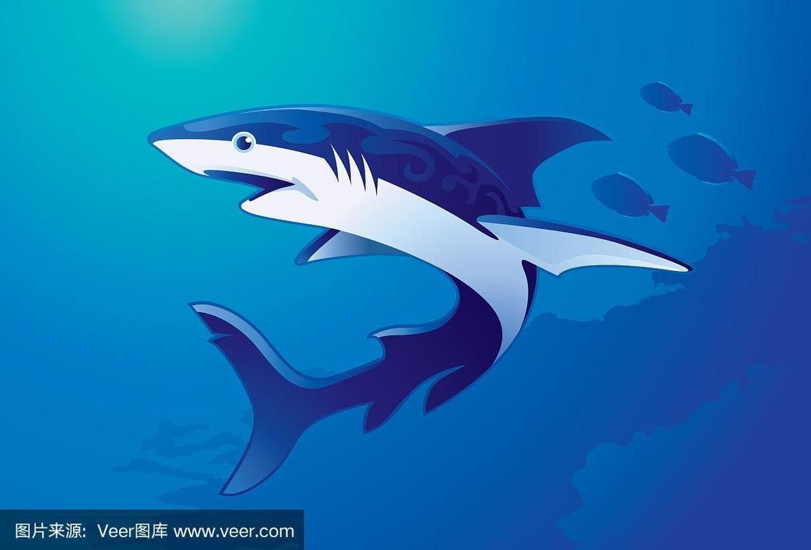 藍鯊魚圖片 藍鯊魚圖片 龍魚百科 第19張