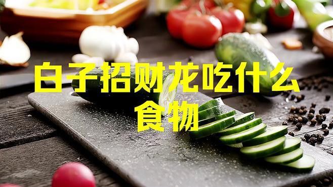 如何挑選高品質的白子招財龍魚？