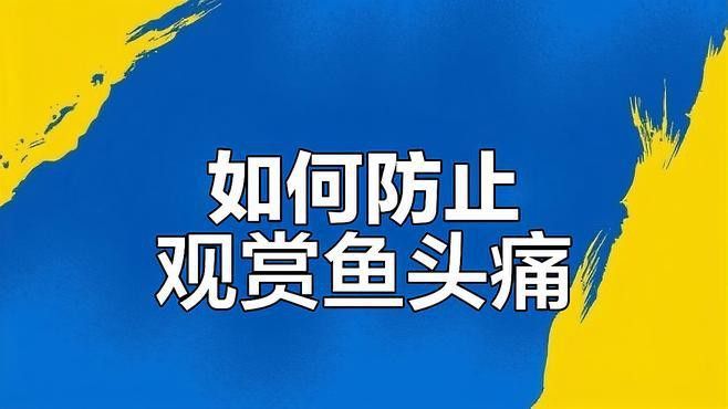 如何預防紅龍魚頭洞病？