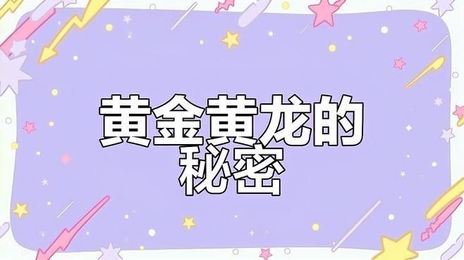 黃龍魚特有的技能