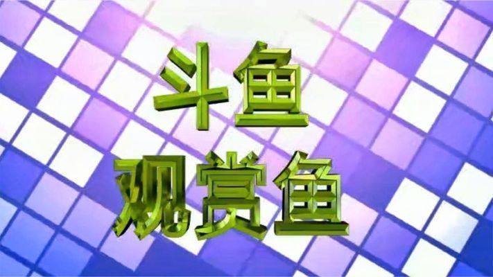 跟龍魚有關的網名大全，與龍魚相關的網名大全 跟龍魚有關的網名大全，與龍魚相關的網名大全 龍魚百科 第3張