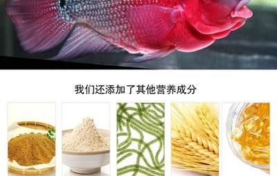 羅漢魚飼料成分對比，羅漢魚飼料成分對魚類生長的影響 羅漢魚飼料成分對比，羅漢魚飼料成分對魚類生長的影響 龍魚百科 第1張