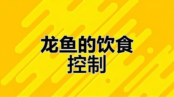 龍魚的體型和什么有關聯