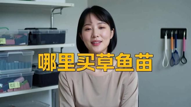 買魚苗去哪里買 買魚苗去哪里買 龍魚百科 第2張