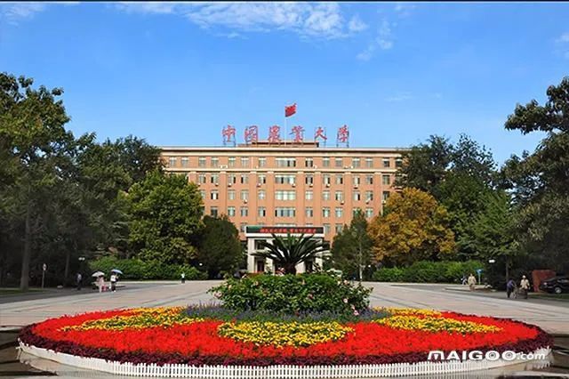 哪里可以找到專業的水族獸醫？ 哪里可以找到專業的水族獸醫？ 龍魚百科 第4張