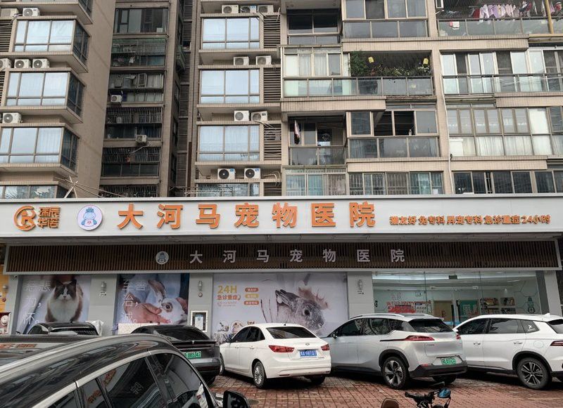 哪里可以找到專業的水族獸醫？ 哪里可以找到專業的水族獸醫？ 龍魚百科 第5張