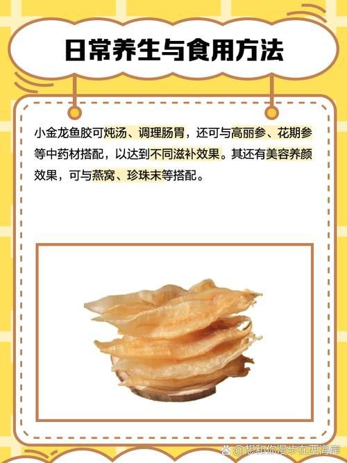 金龍魚膠的營養價值及功效 金龍魚膠的營養價值及功效 龍魚百科 第3張