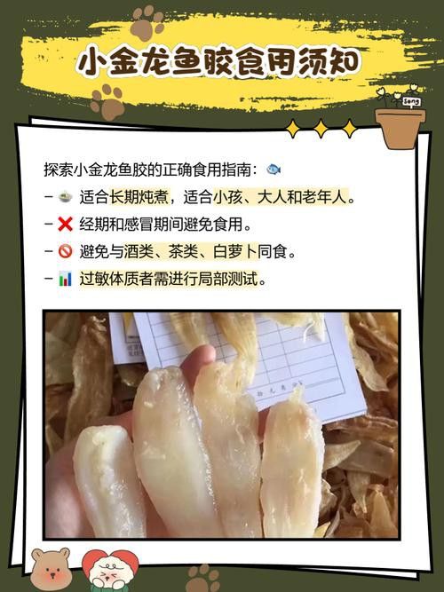 金龍魚膠的營養價值及功效 金龍魚膠的營養價值及功效 龍魚百科 第2張