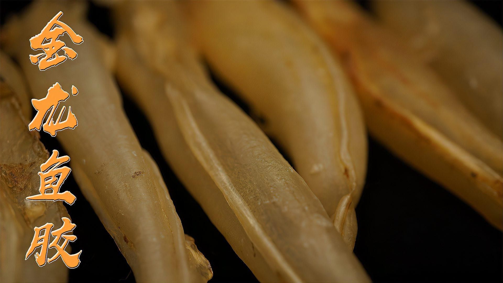 金龍魚膠的營養價值及功效 金龍魚膠的營養價值及功效 龍魚百科 第7張