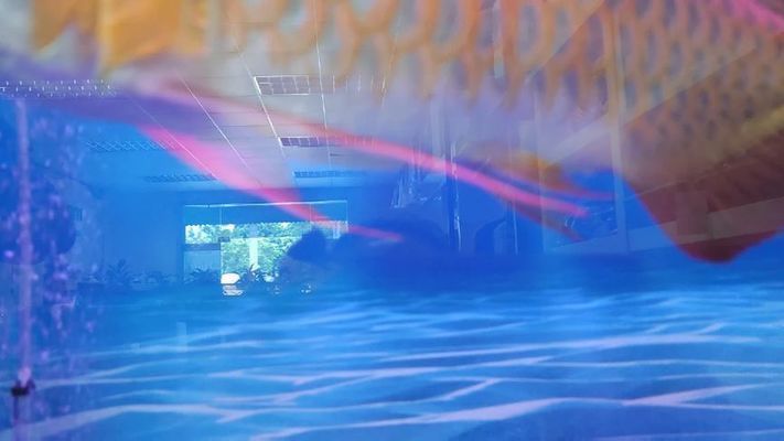 龍魚低溫過冬：龍魚冬季飲食調整方法 龍魚低溫過冬：龍魚冬季飲食調整方法 龍魚百科 第5張