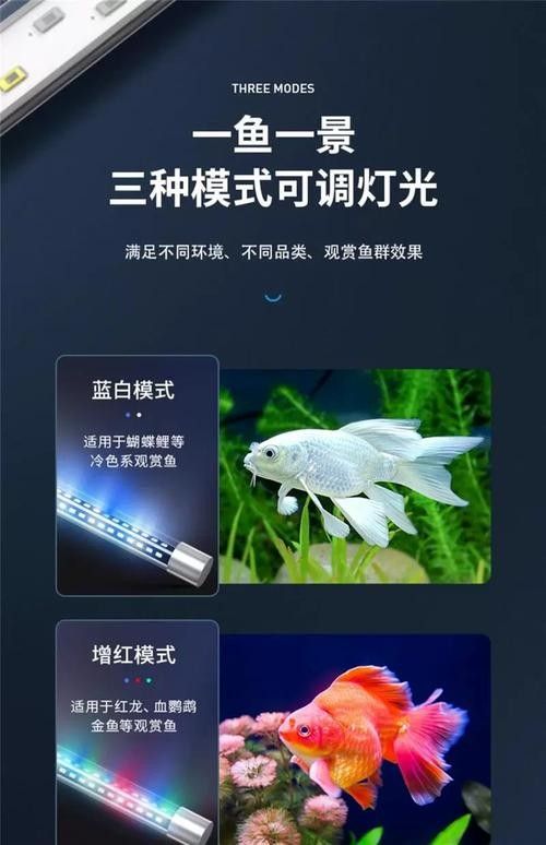 龍魚燈的安裝位置圖解