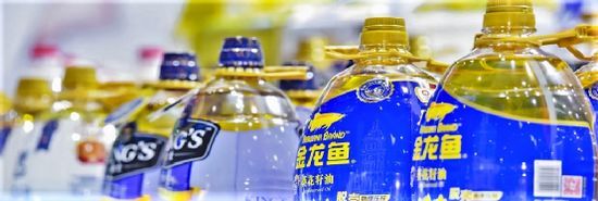 金龍魚2020半年報（金龍魚2020年上半年業績受關注） 金龍魚2020半年報（金龍魚2020年上半年業績受關注） 龍魚百科 第3張