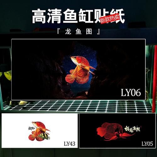 紅龍魚圖片高清手機(jī)壁紙可愛版 紅龍魚圖片高清手機(jī)壁紙可愛版 龍魚百科 第20張