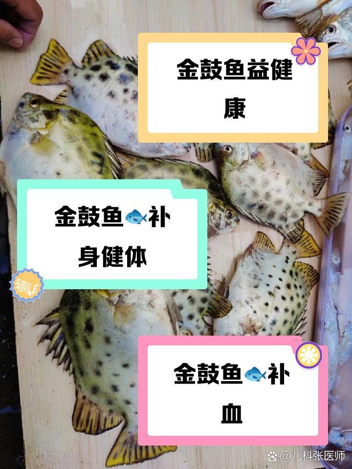 金鼓魚40塊錢一斤 金鼓魚40塊錢一斤 龍魚百科 第10張