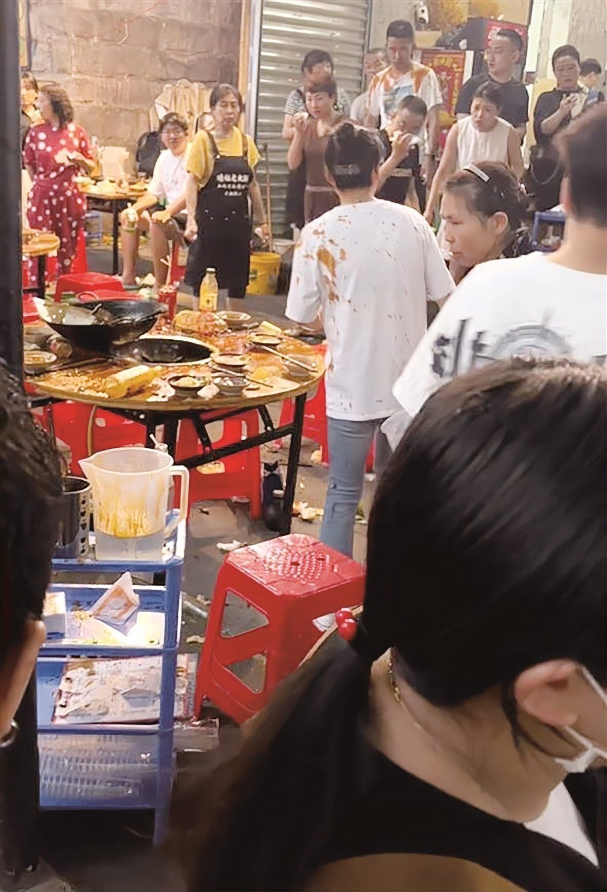 重慶龍魚貓 重慶龍魚貓 龍魚百科 第11張