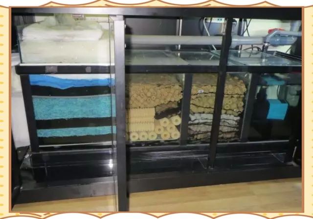 龍魚缸底部的糞便如何清理？