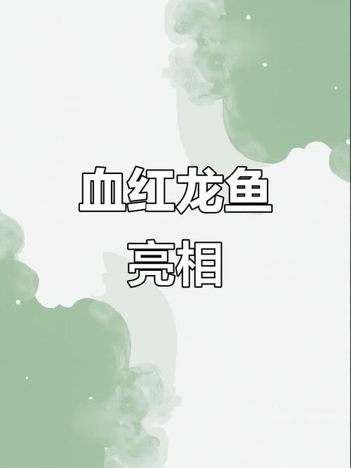 紅龍魚等級區分圖解圖