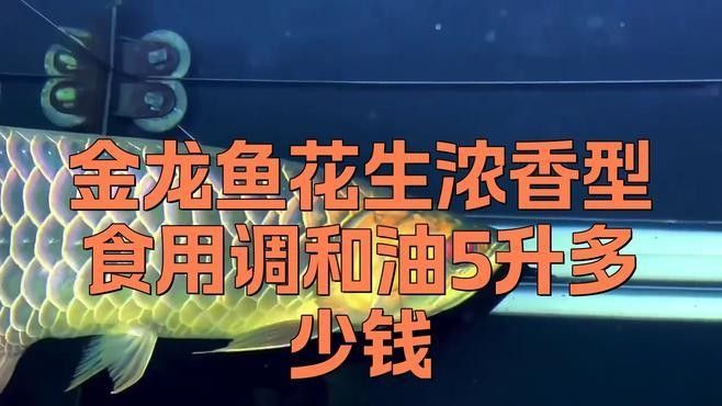 金龍魚都是進口的嗎多少錢