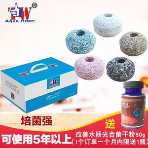 紅龍魚用什么濾材比較好：紅龍魚適合哪些濾材