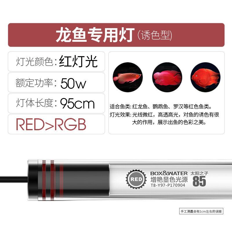 晚上用紅燈對金龍魚有影響嗎（晚上使用紅燈對金龍魚的影響） 晚上用紅燈對金龍魚有影響嗎（晚上使用紅燈對金龍魚的影響） 龍魚百科 第5張