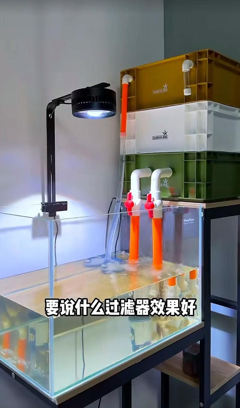 有哪些品牌過濾器適合古典龍魚？