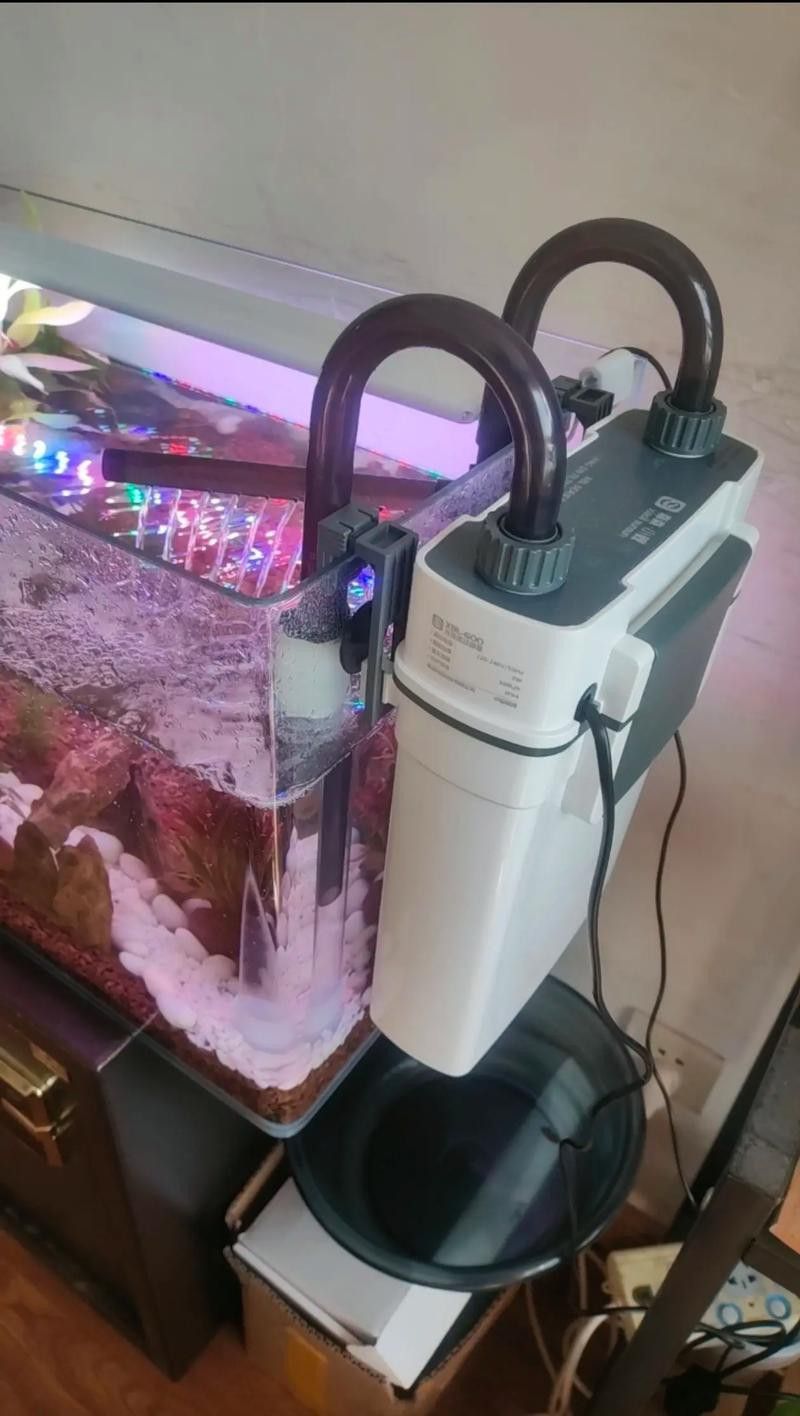 有哪些品牌過濾器適合古典龍魚？