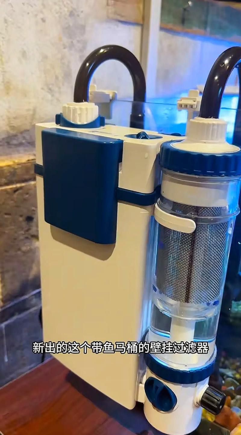 有哪些品牌過濾器適合古典龍魚？