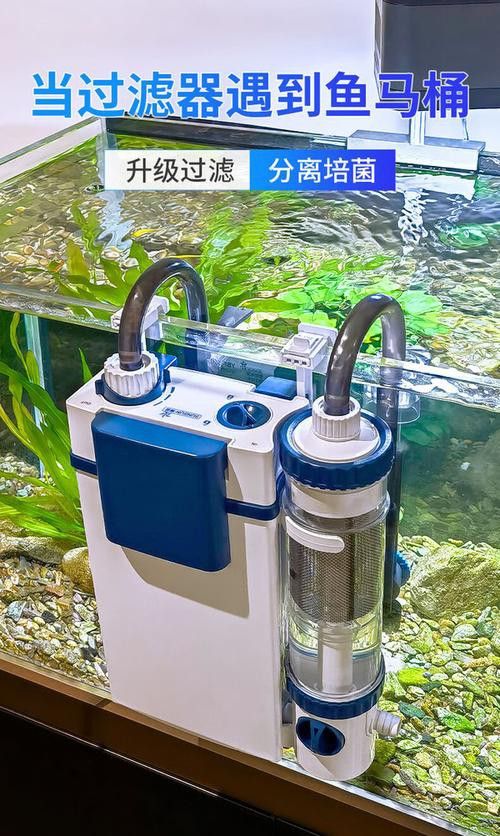有哪些品牌過濾器適合古典龍魚？