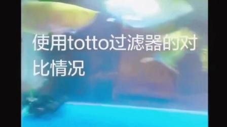 有哪些品牌過濾器適合古典龍魚？