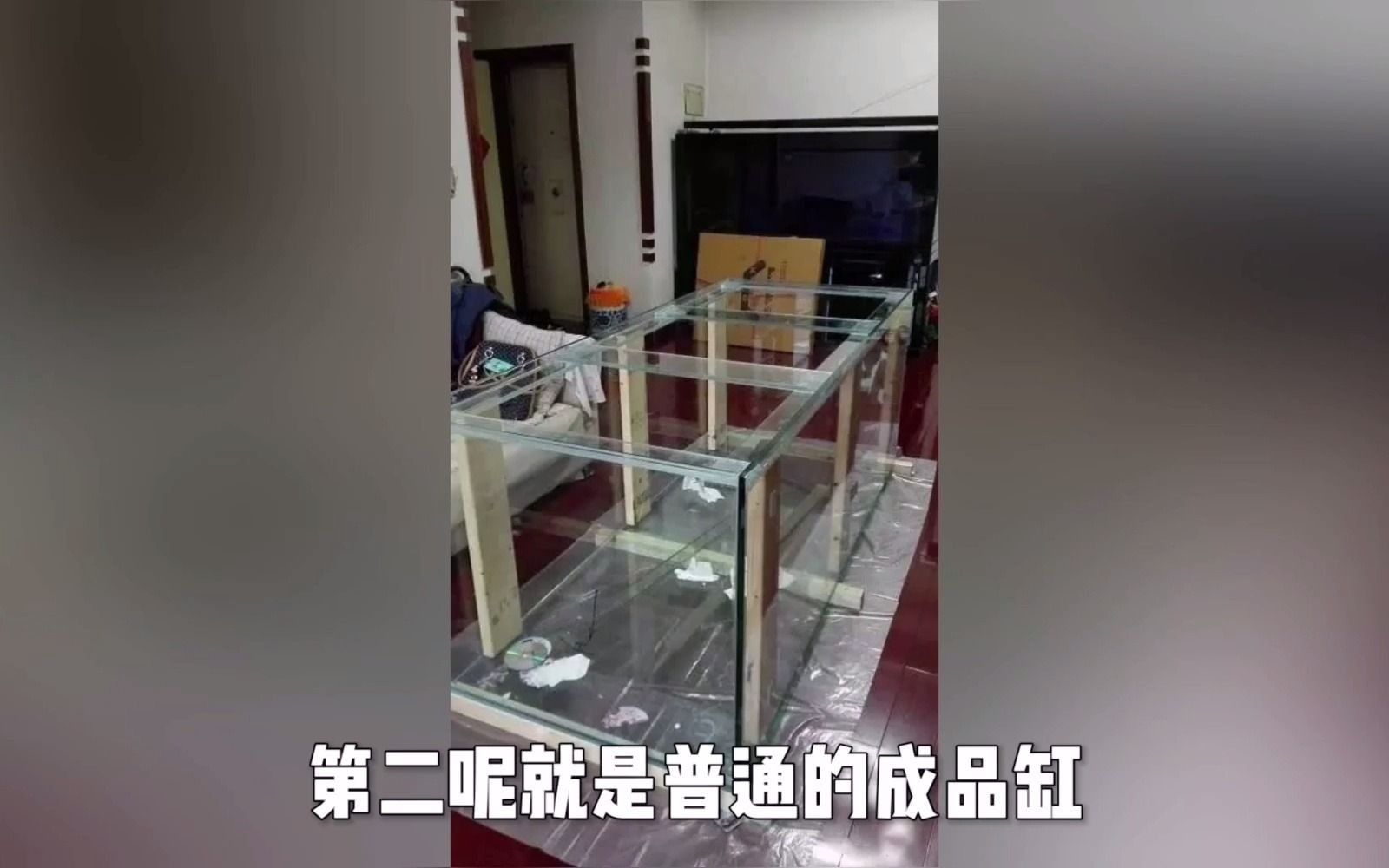 有哪些品牌過濾器適合古典龍魚？