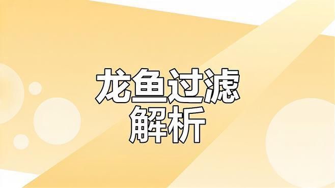 有哪些品牌過濾器適合古典龍魚？