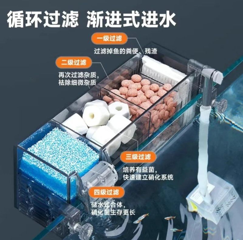 有哪些品牌過濾器適合古典龍魚？