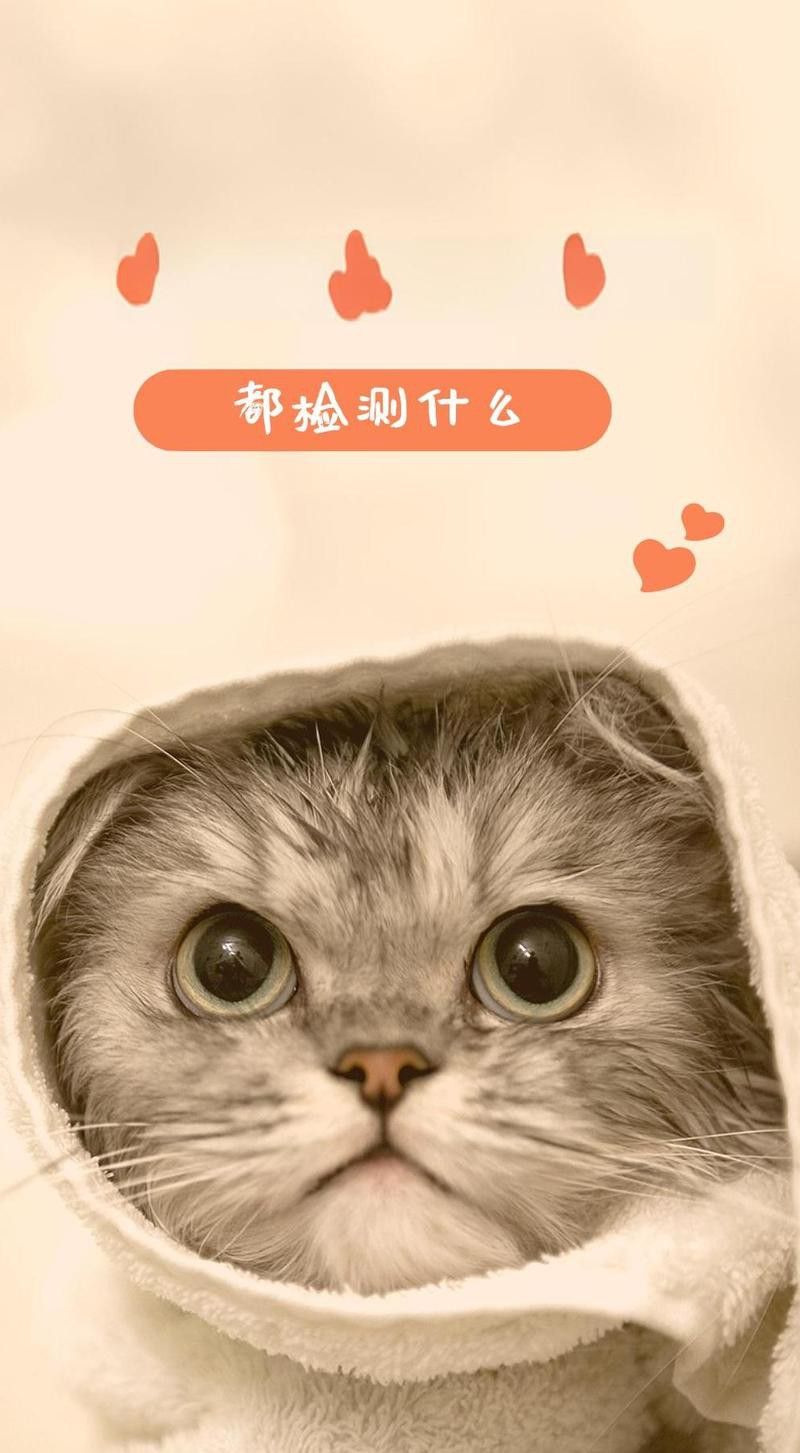 如何判斷小金龍魚飼料是否新鮮？ 如何判斷小金龍魚飼料是否新鮮？ 龍魚百科 第15張