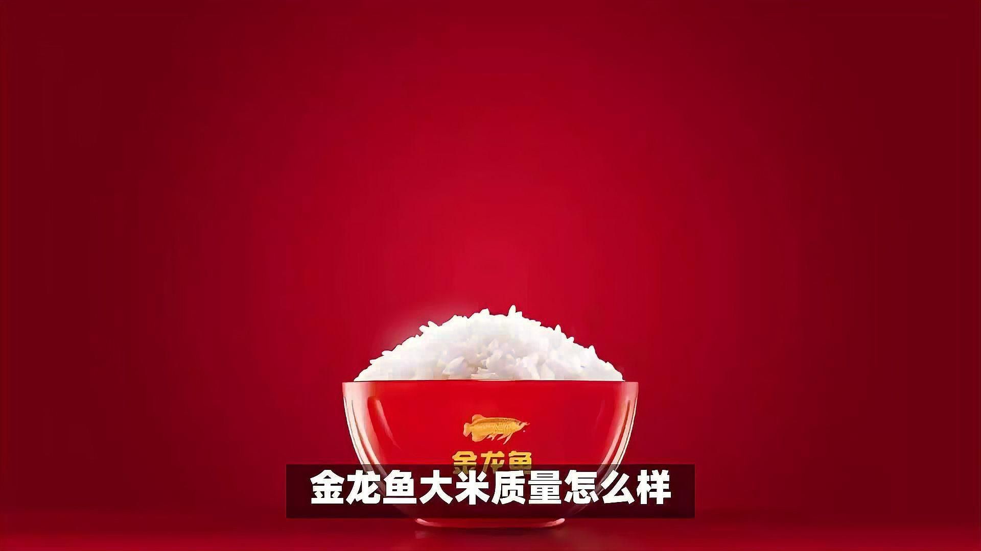 金龍魚粳米好不好