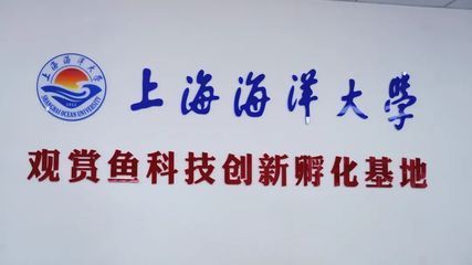 國內紅龍魚繁殖基地有哪些：國內外紅龍魚繁殖基地
