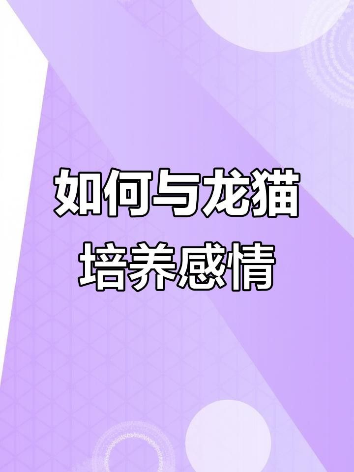 如何訓練貓與龍貓和平相處？