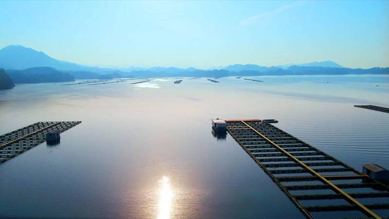 中國鱘龍魚養殖地方在哪里 中國鱘龍魚養殖地方在哪里 龍魚百科 第7張
