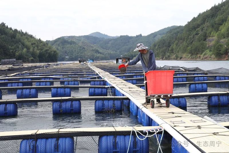 中國鱘龍魚養殖地方在哪里 中國鱘龍魚養殖地方在哪里 龍魚百科 第8張