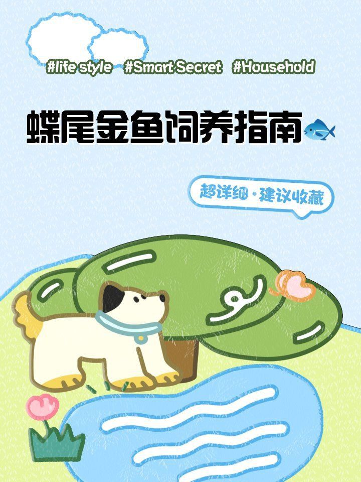 能否提供更多蝶尾金魚飼養(yǎng)技巧? 龍魚百科 第4張 能否提供更多蝶尾金魚飼養(yǎng)技巧? 能否提供更多蝶尾金魚飼養(yǎng)技巧? 龍魚百科 第4張