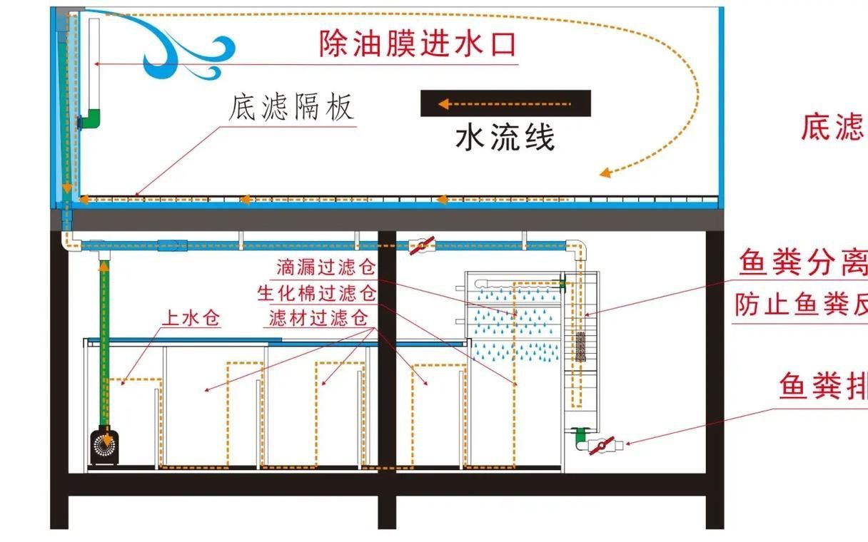 可麗愛魚缸底濾結構圖 可麗愛魚缸底濾結構圖 龍魚百科 第2張