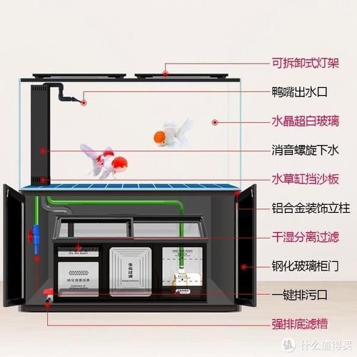 可麗愛魚缸底濾結構圖 可麗愛魚缸底濾結構圖 龍魚百科 第3張