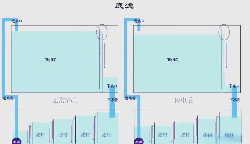 可麗愛魚缸底濾結構圖 可麗愛魚缸底濾結構圖 龍魚百科 第21張