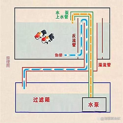 可麗愛魚缸底濾結構圖 可麗愛魚缸底濾結構圖 龍魚百科 第25張