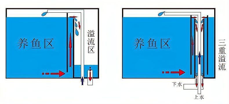 可麗愛魚缸底濾結構圖 可麗愛魚缸底濾結構圖 龍魚百科 第26張